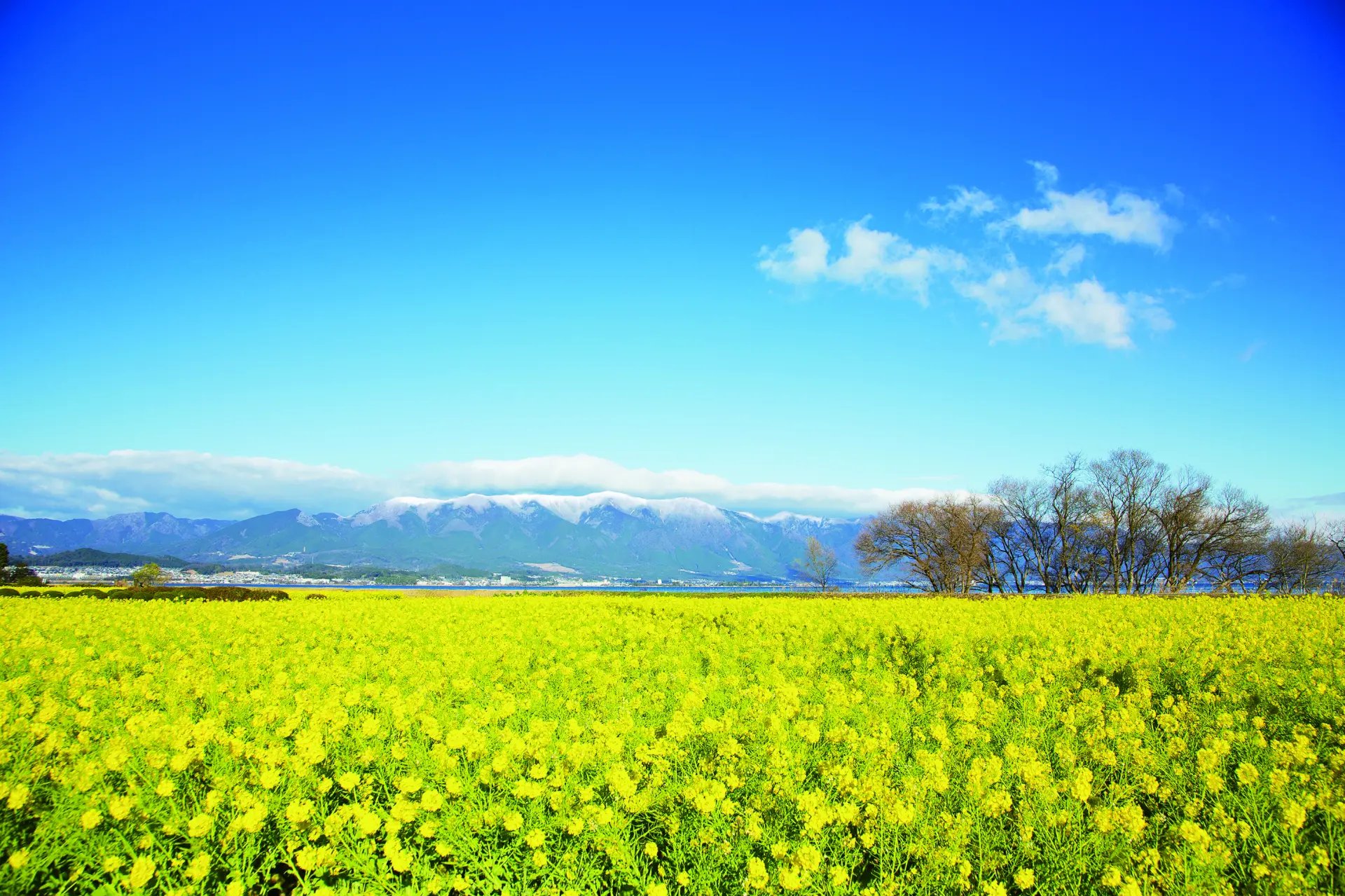 🌼 제1 나기사 공원 (다이이치 나기사 코엔) 이미지 1